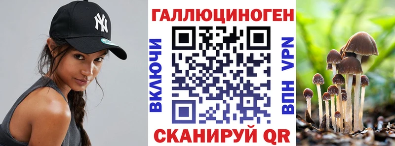 Псилоцибиновые грибы Psilocybe  дарнет шоп  Бердск 
