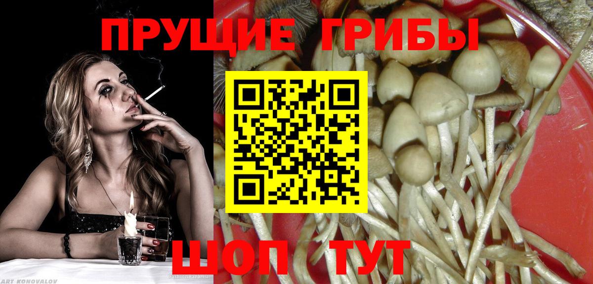 Псилоцибиновые грибы прущие грибы Бердск